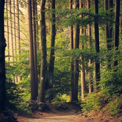 南宫体育app下载手机app下载