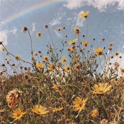 开云·kaiyun体育手机app下载