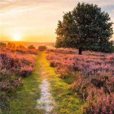 168极速赛车正规官方平台