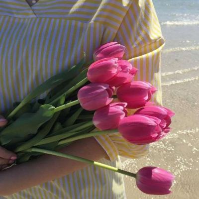 网赌软件在线下载