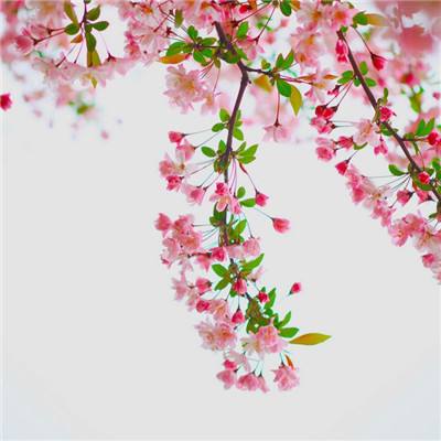 BET9官方APP下载正版手机app下载